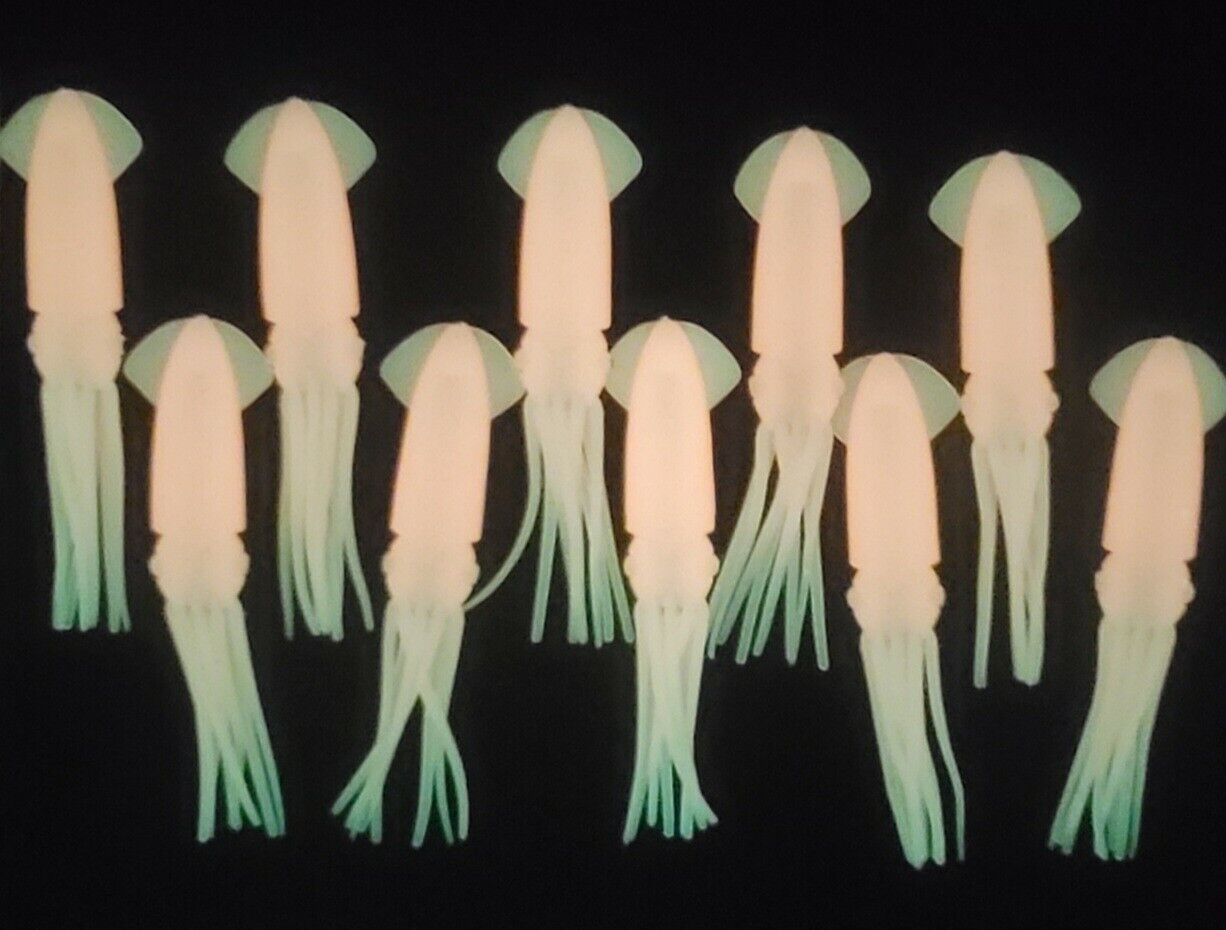 Fishing Squid Bulb Teaser Skirt 5 Fishing Squid Bulb Teaser Skirt 5