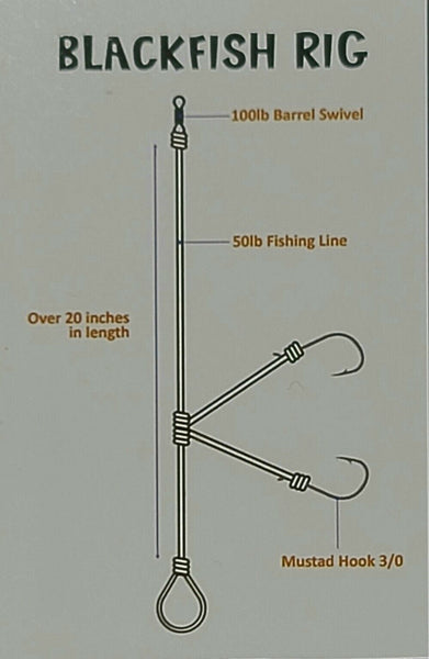 BLACKFISH (Tog) TAUTOG V Style Fishing Double Hook Rig ~ CUSTOM MADE