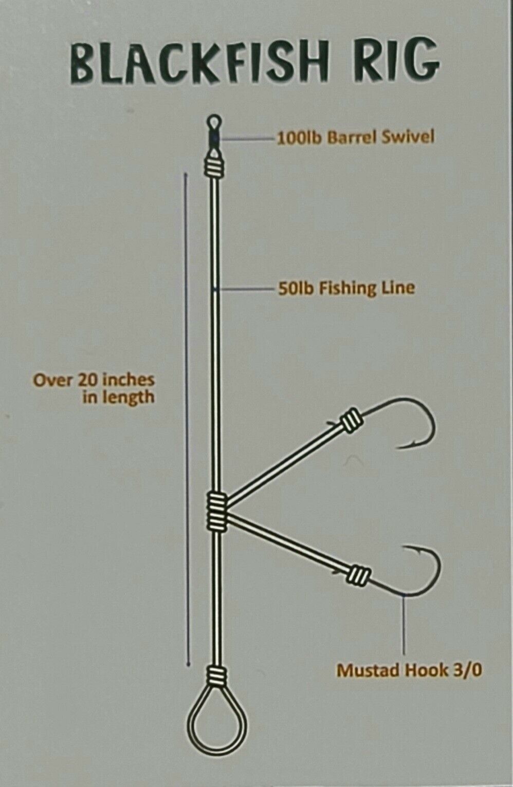 Blackfish Tog Tautog SALTWATER FISH RIG MUSTAD 3/0 HOOK 50lb MONO 2 Hooks