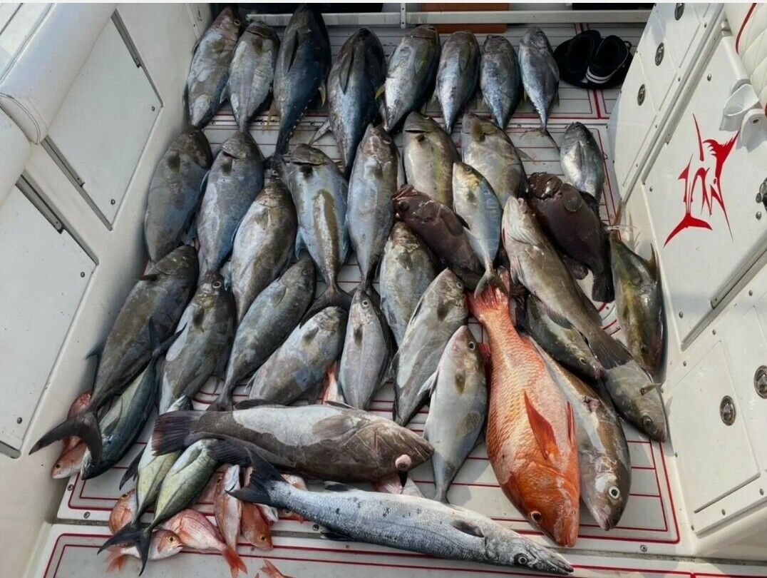 Deep Drop Bottom Fishing Rig Glow Tile Rose Snapper Cod Grouper Golden ...