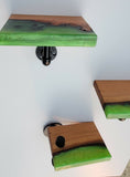 Epoxy Resin Wood Custom 2 Shelves an 1 Toilet Paper Holder Green Shelf Wall Art