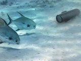 GoFish Underwater Camera